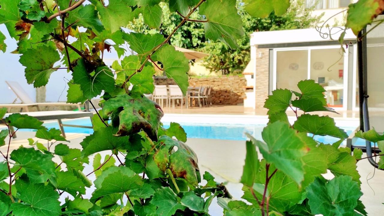 Villa D'Uvale Douro Alijó 外观 照片