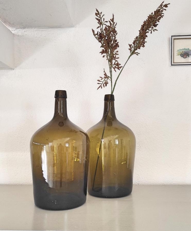 Villa D'Uvale Douro Alijó 外观 照片