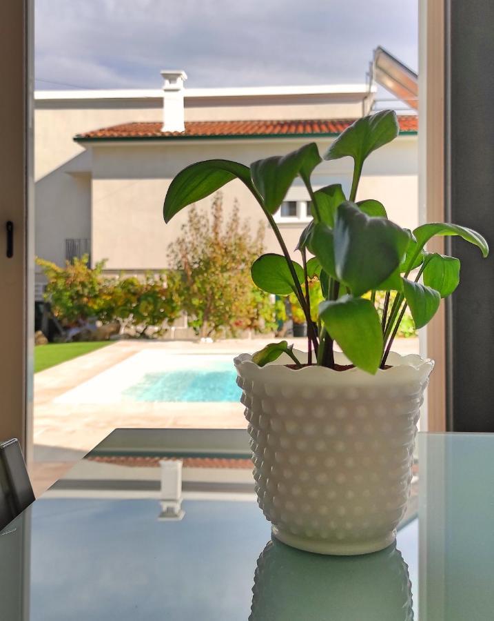 Villa D'Uvale Douro Alijó 外观 照片